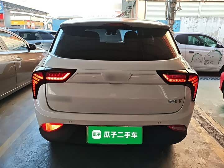 Фото 6 - Hozon V