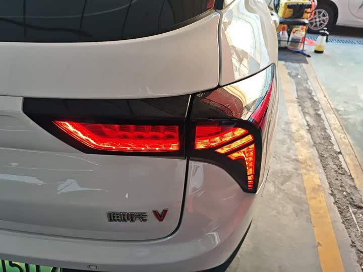 Фото 8 - Hozon V