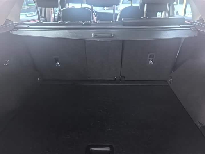 Фото 4 - Volkswagen Tayron X