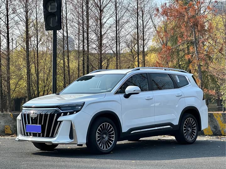 Фото 1 - Geely Okavango L