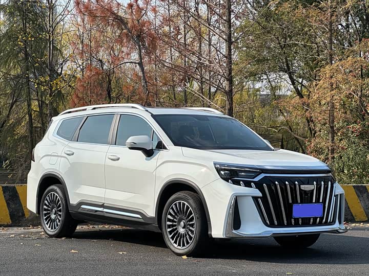 Фото 3 - Geely Okavango L