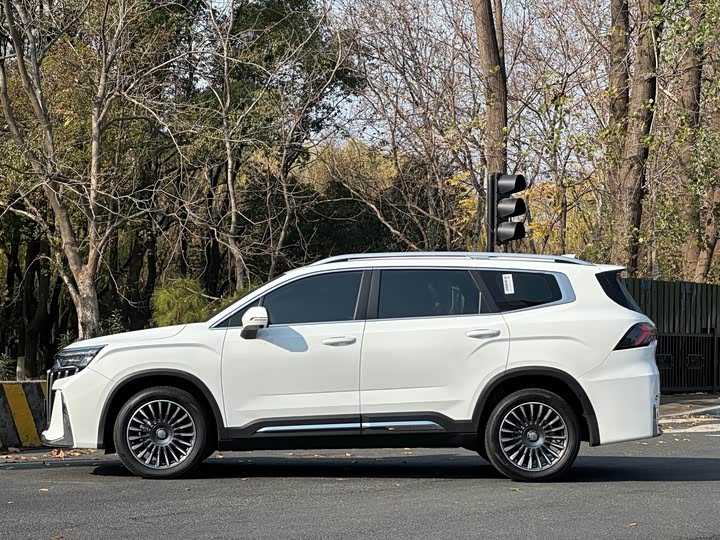 Фото 5 - Geely Okavango L