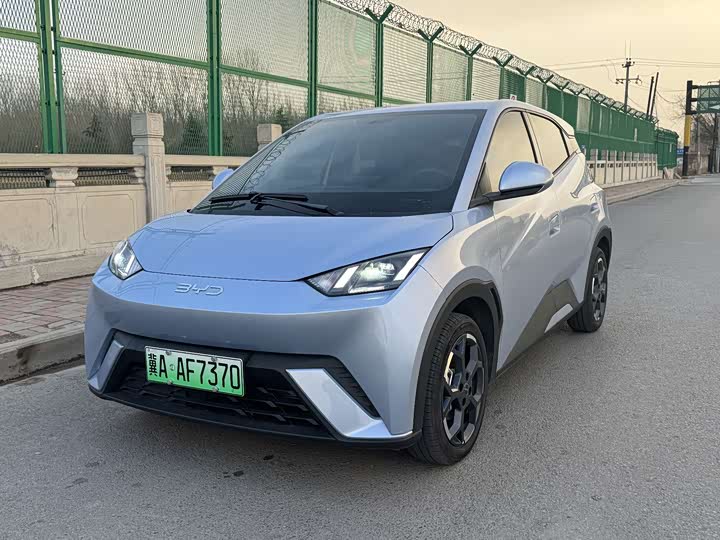 Фото 1 - BYD Seagull