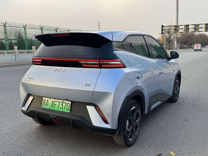 Фото 4 - BYD Seagull