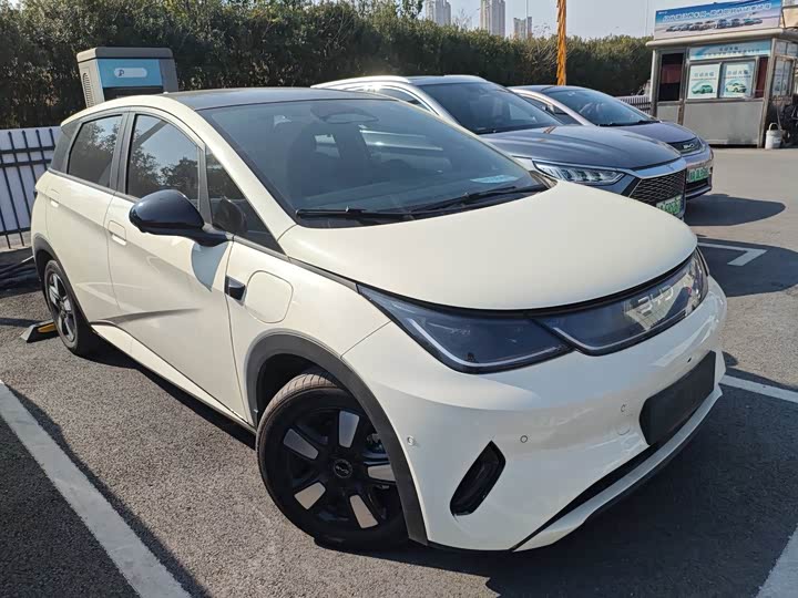 Фото 2 - BYD Dolphin