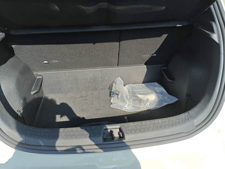 Фото 6 - BYD Dolphin