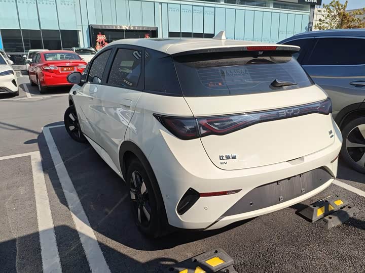 Фото 9 - BYD Dolphin