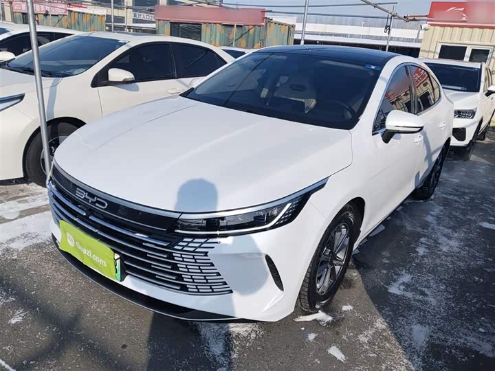 Фото 2 - BYD Destroyer 05