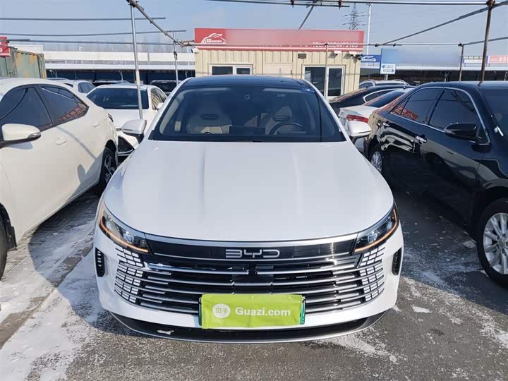 Фото 3 - BYD Destroyer 05