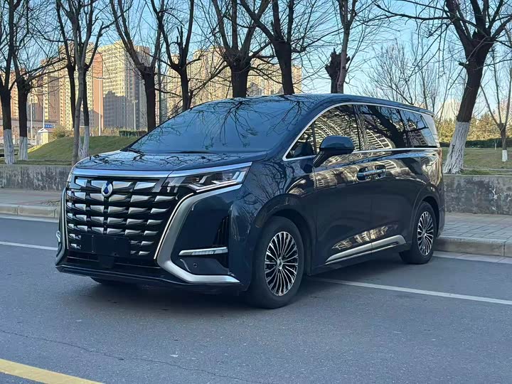 Фото 1 - Denza D9