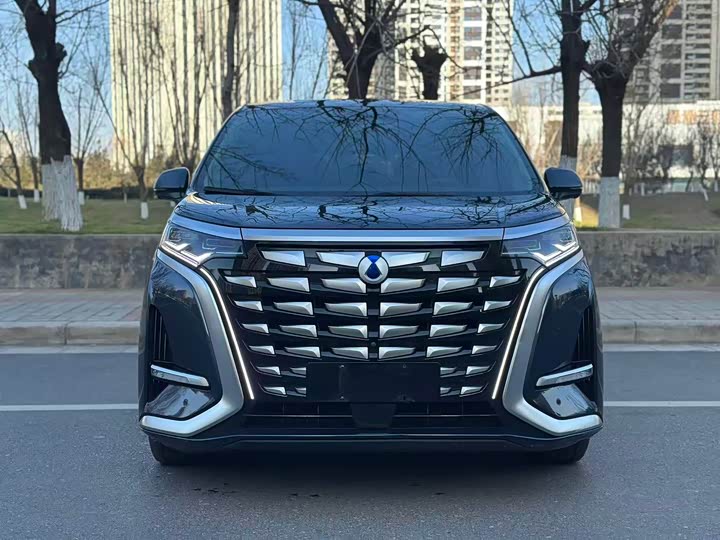 Фото 2 - Denza D9