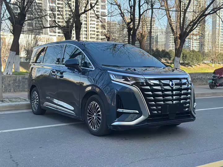 Фото 3 - Denza D9