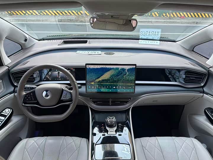 Фото 6 - Denza D9