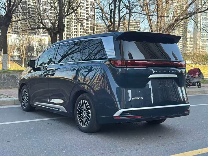 Фото 7 - Denza D9