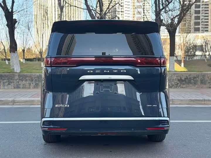 Фото 8 - Denza D9