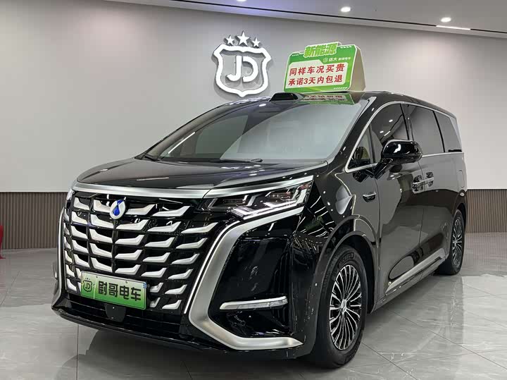 Фото 1 - Denza D9