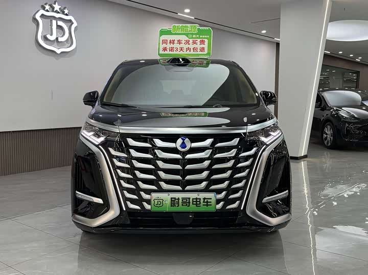 Фото 2 - Denza D9