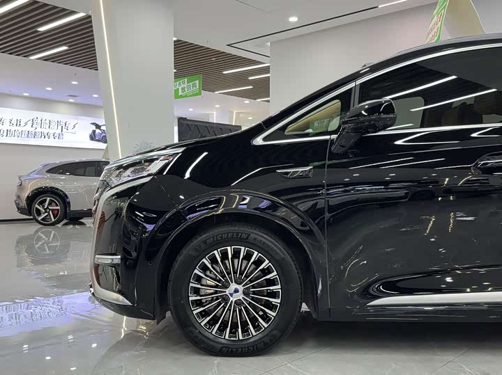 Фото 4 - Denza D9