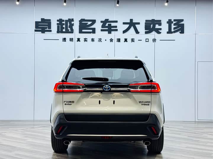 Фото 6 - Toyota Wildlander