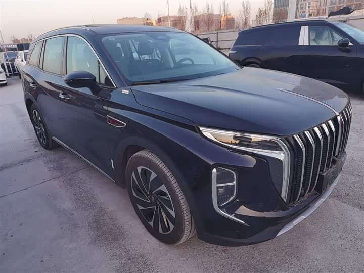 Фото 4 - Hongqi HS7 Hybrid