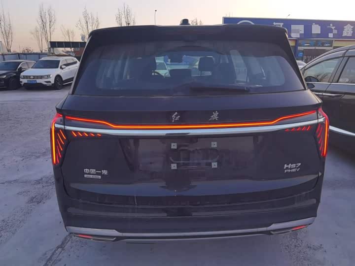Фото 6 - Hongqi HS7 Hybrid