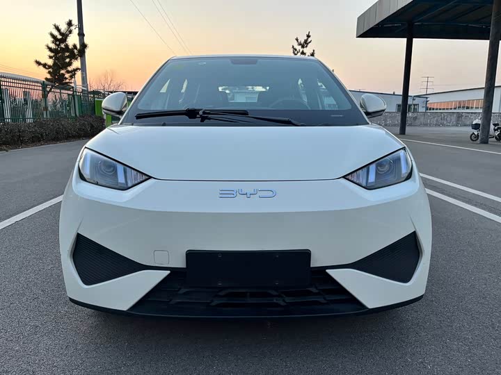 Фото 2 - BYD Seagull