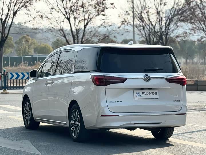 Фото 5 - Buick GL8 ES