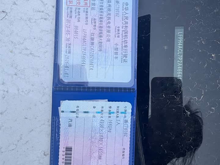 Фото 4 - Hongqi H6