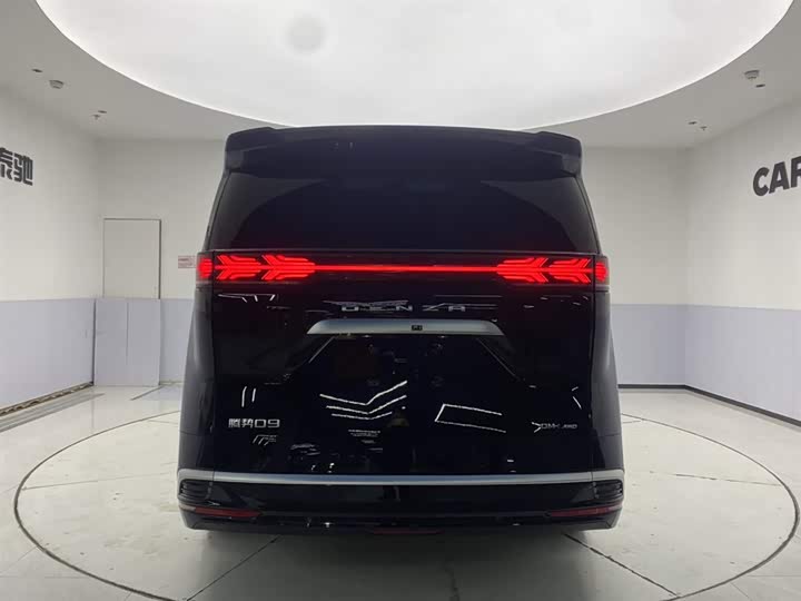 Фото 6 - Denza D9