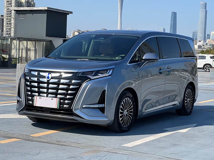 Фото 1 - Denza D9