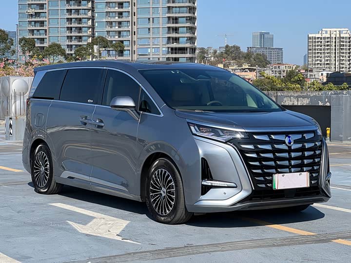 Фото 2 - Denza D9