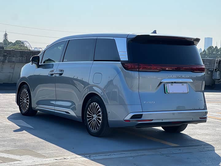 Фото 3 - Denza D9