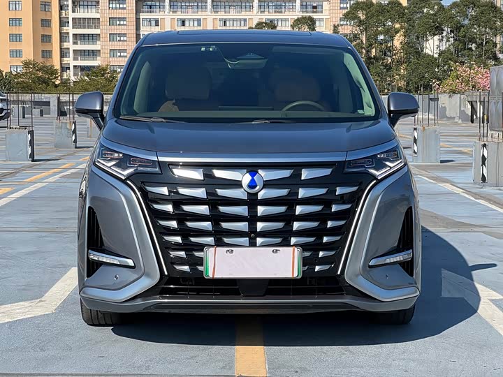 Фото 5 - Denza D9