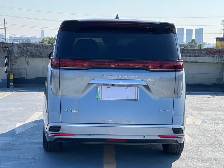 Фото 6 - Denza D9