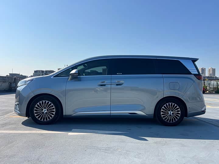 Фото 8 - Denza D9