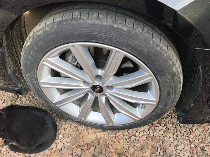 Фото 6 - Audi A6L