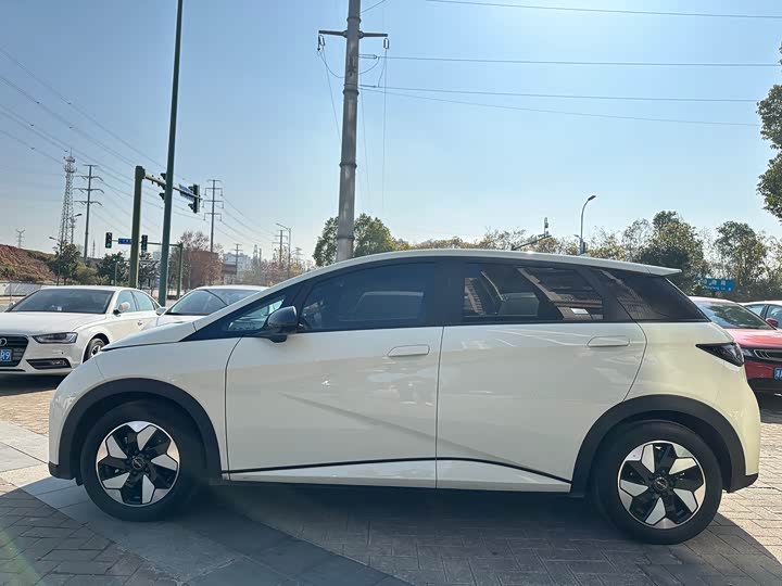 Фото 4 - BYD Dolphin