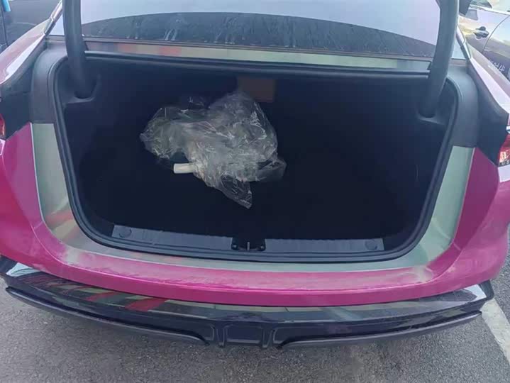 Фото 4 - BYD Han L