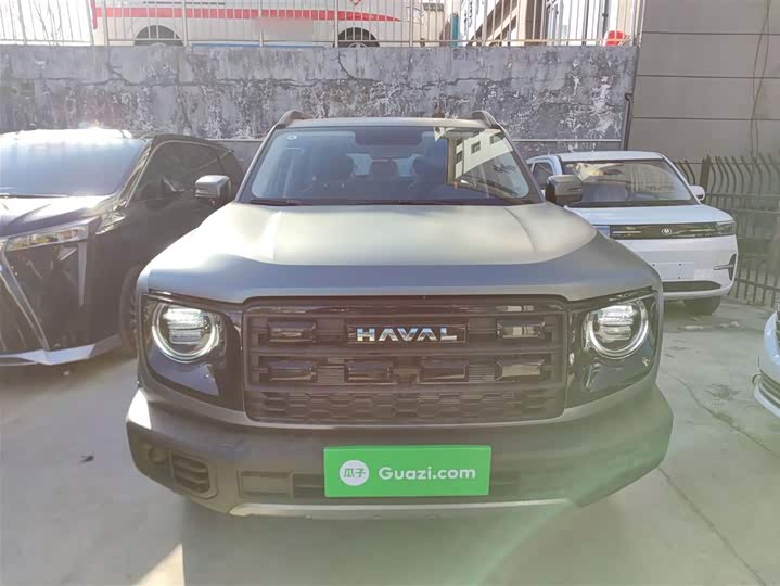 Фото 3 - Haval Dargo