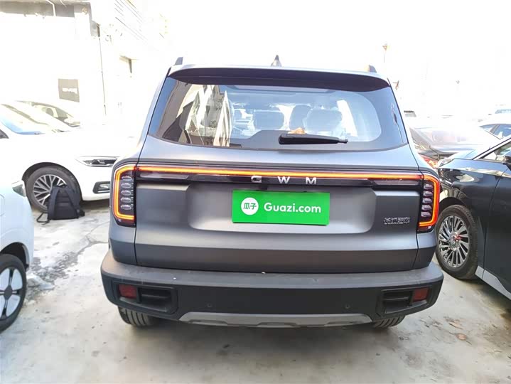 Фото 6 - Haval Dargo