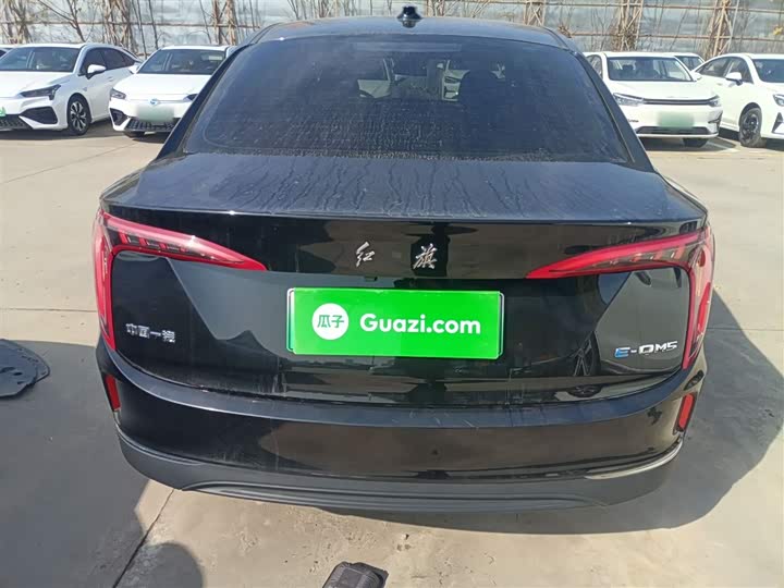 Фото 6 - Hongqi E-QM5