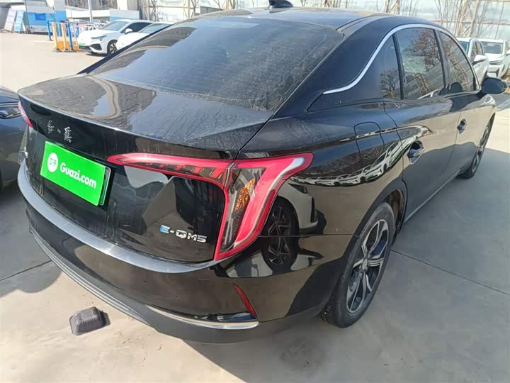 Фото 7 - Hongqi E-QM5