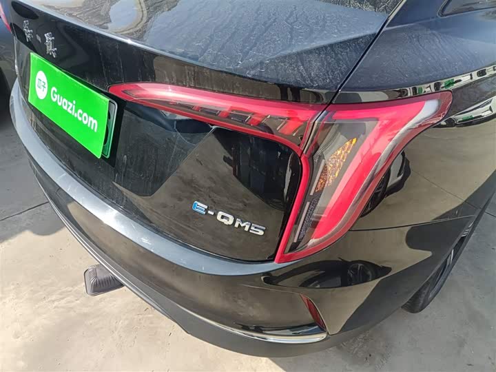 Фото 8 - Hongqi E-QM5