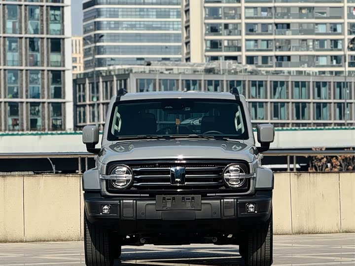 Фото 2 - Tank 300