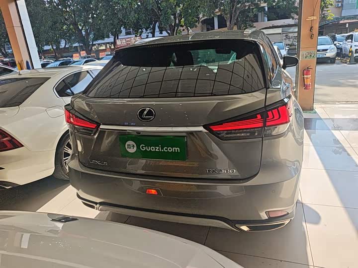 Фото 6 - Lexus RX