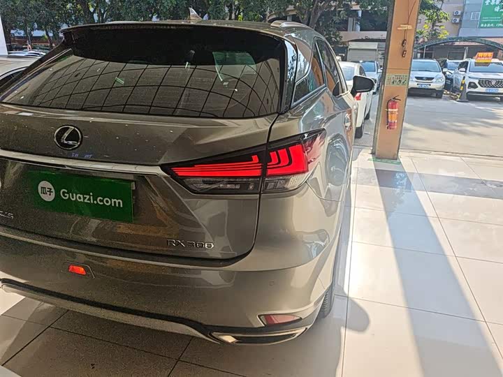 Фото 8 - Lexus RX