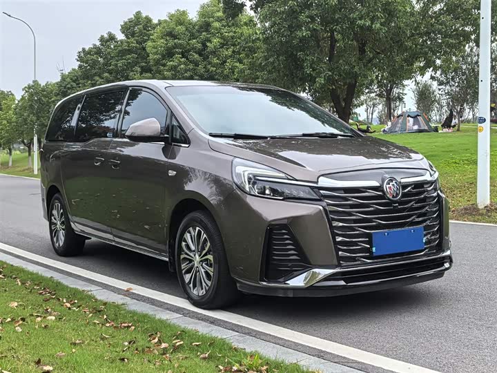 Фото 4 - Buick GL8 ES