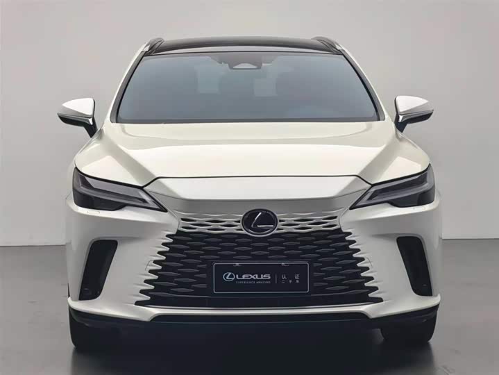 Фото 2 - Lexus RX