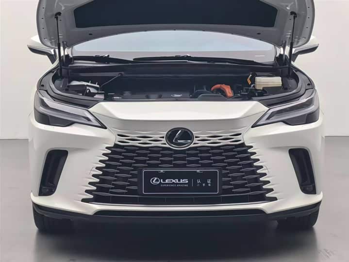 Фото 3 - Lexus RX