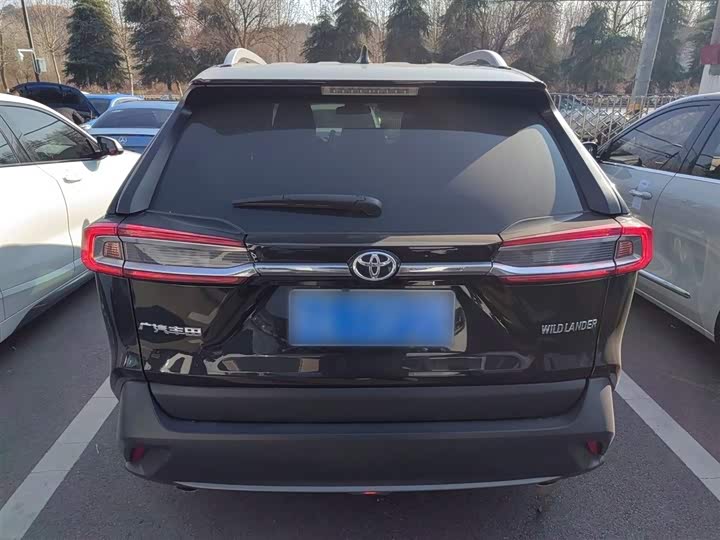 Фото 6 - Toyota Wildlander